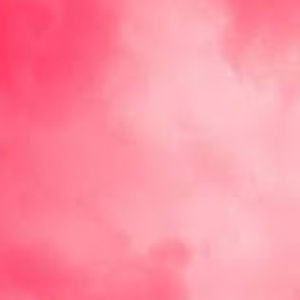 Meet your Posher, Katy